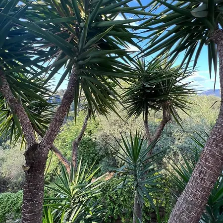 Souvenir à Jamais ! Nice